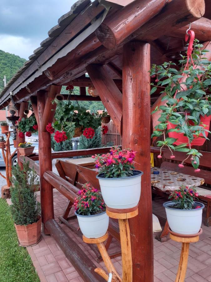Casa De Oaspeti Cristian Praid Extérieur photo