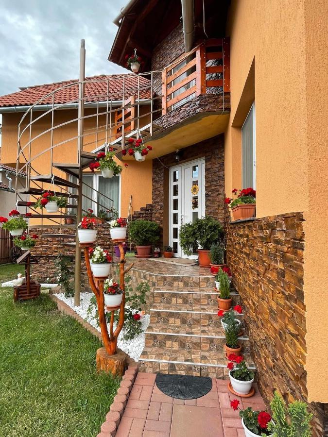 Casa De Oaspeti Cristian Praid Extérieur photo